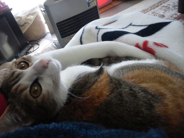 c0194042_21302037.jpg