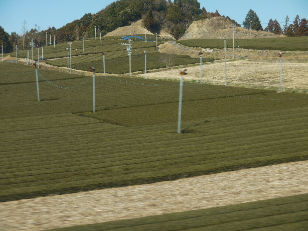 e0227942_20535540.jpg