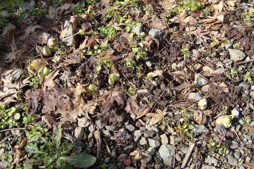 e0226943_014710.jpg