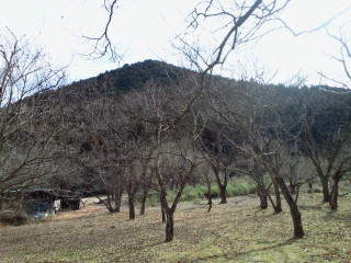 e0150849_14112714.jpg