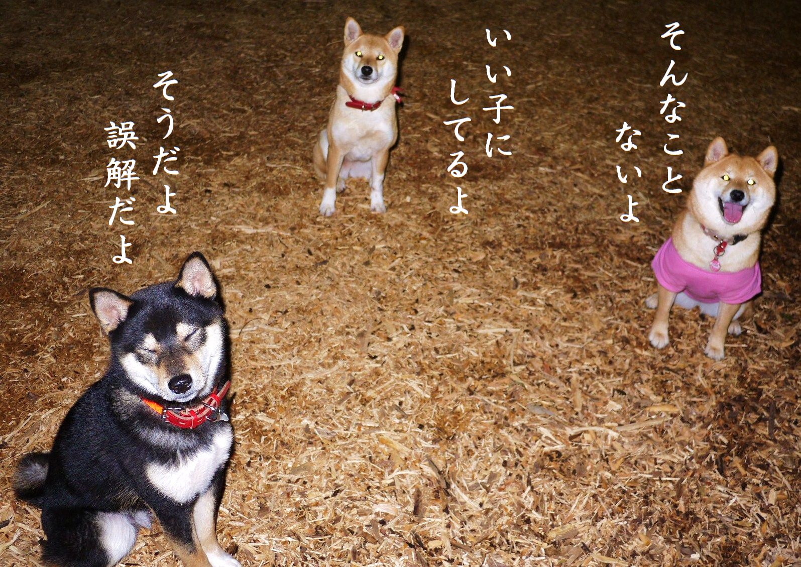 e0241952_1305659.jpg