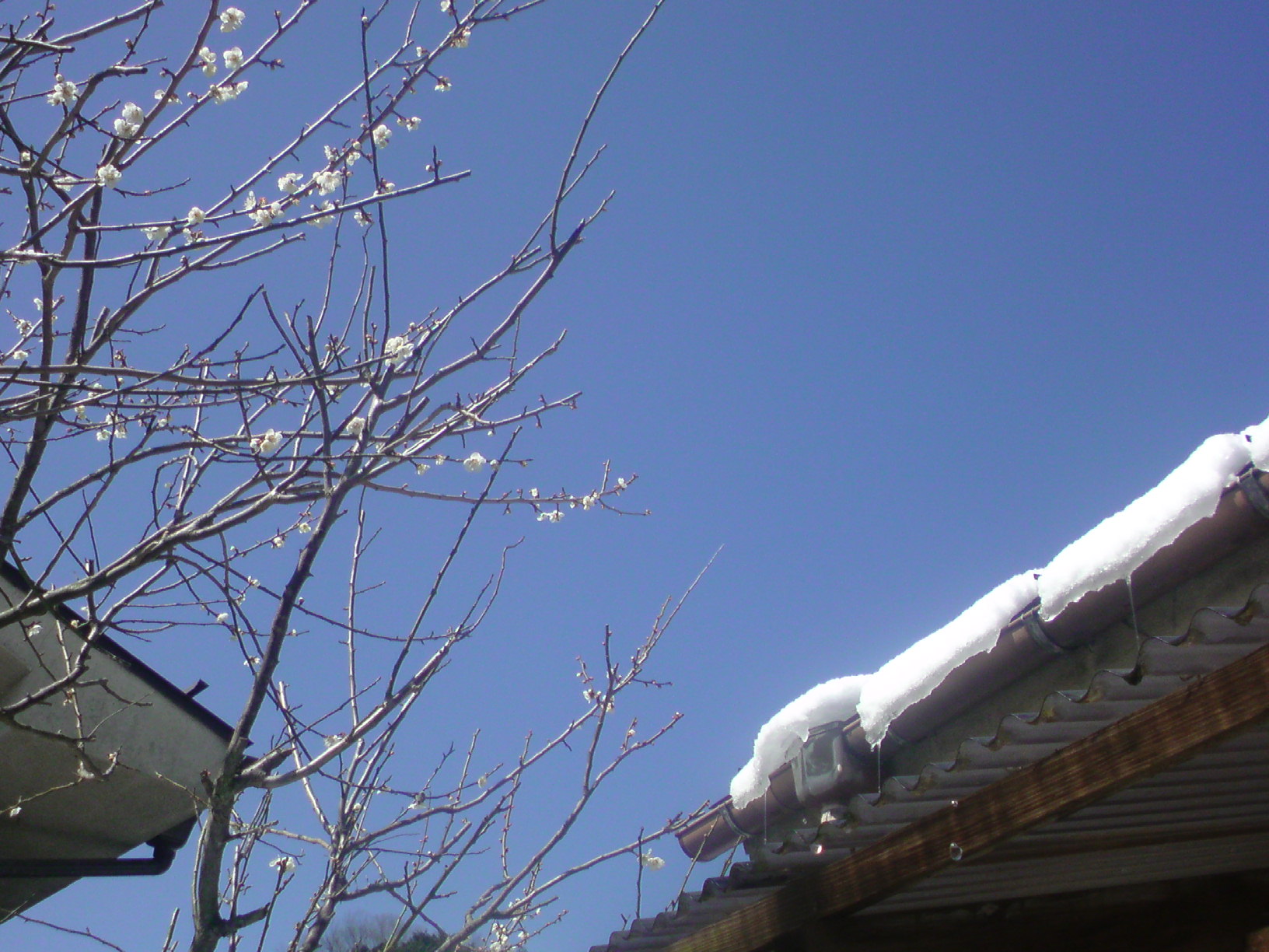 e0251565_65428.jpg