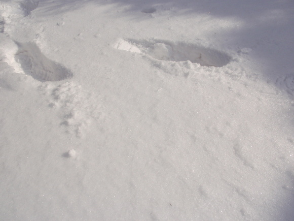 c0042869_18552189.jpg
