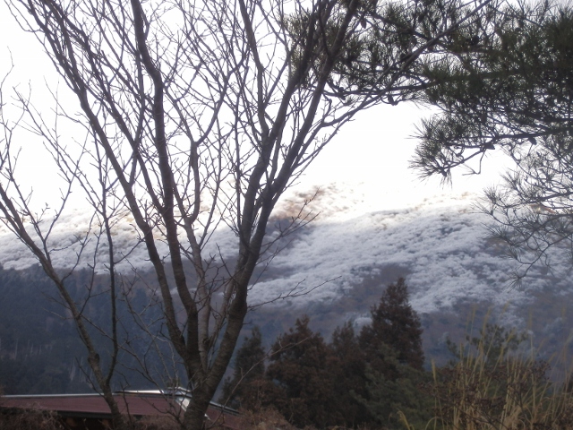 c0042869_1918278.jpg