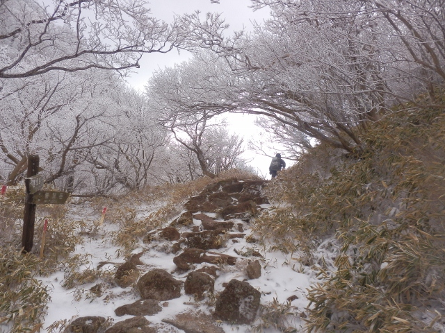 c0042869_1925511.jpg