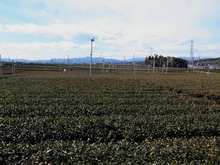 d0225575_18275184.jpg
