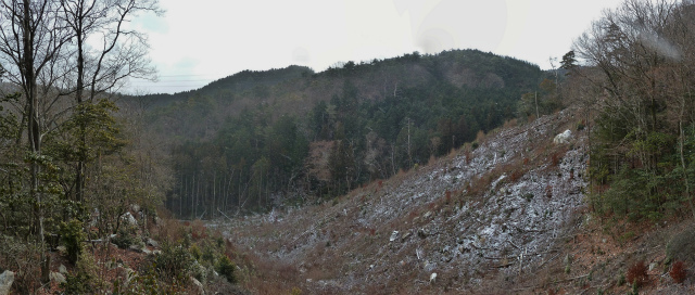 d0245378_172333.jpg