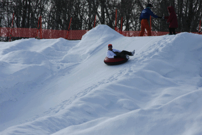 b0003280_23231546.gif