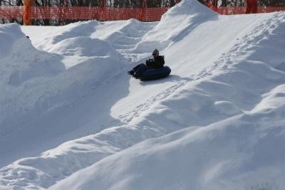 b0003280_23235535.gif