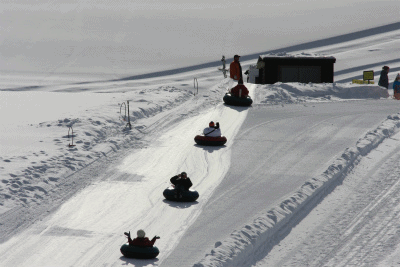 b0003280_2382691.gif