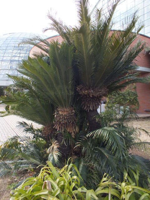 e0145782_9313968.jpg