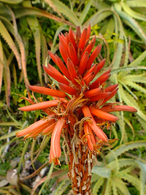 e0145782_9393377.jpg