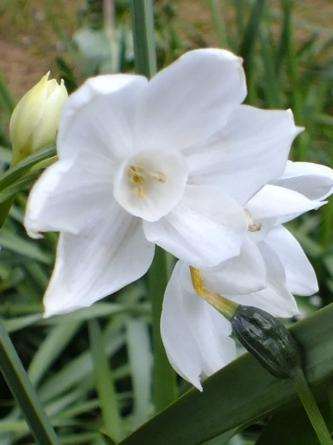 e0145782_9411116.jpg