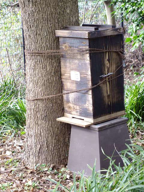 e0145782_9414195.jpg