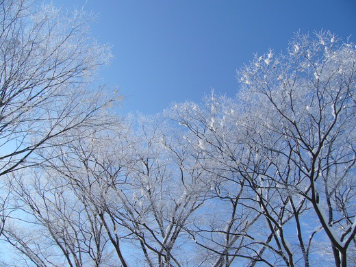 c0168584_1051378.jpg