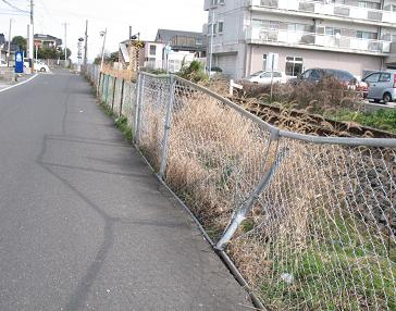 e0130185_1116715.jpg
