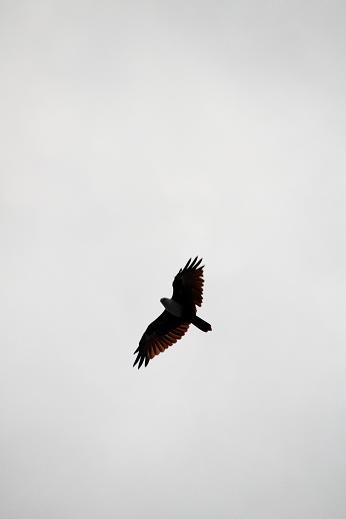 a0109187_1228261.jpg