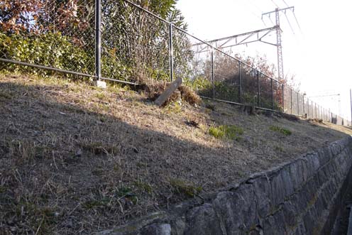 f0222692_9464991.jpg