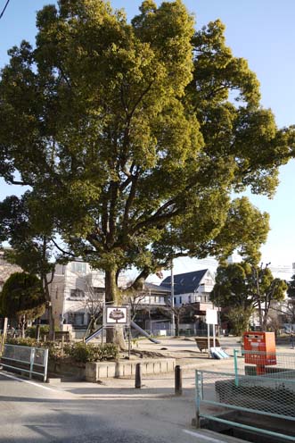 f0222692_9495284.jpg