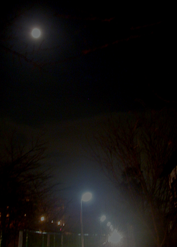 d0053294_0273178.jpg