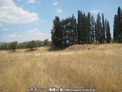 c0010496_1117055.jpg
