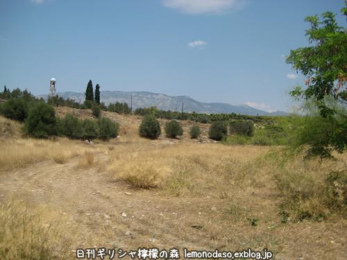 c0010496_111801.jpg