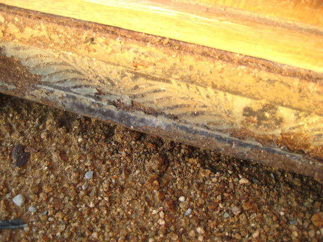 a0193698_1735160.jpg