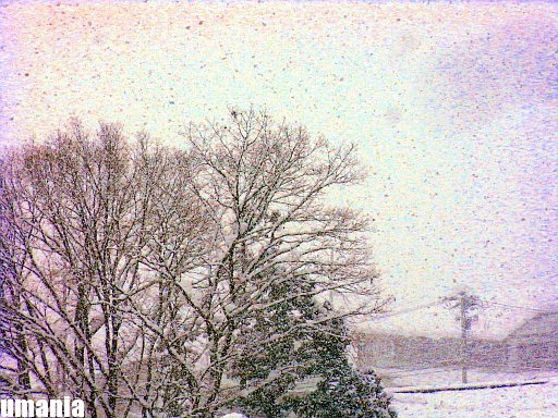 b0061004_0162044.jpg