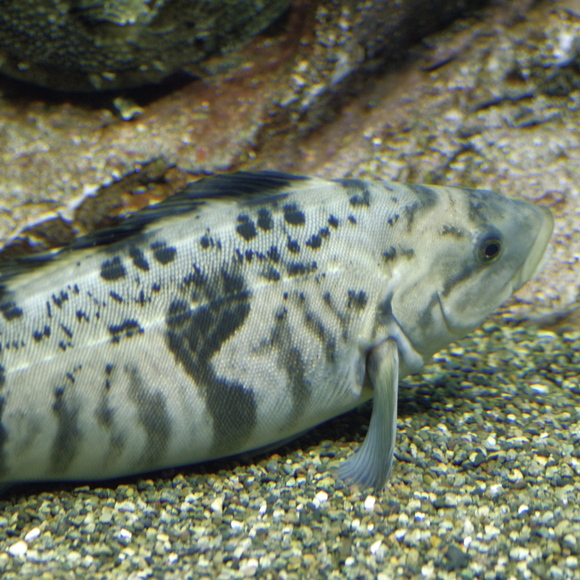 e0142611_10261758.jpg