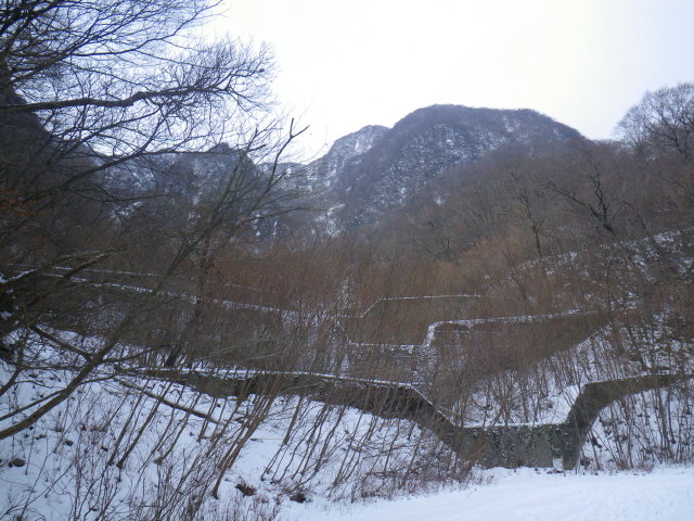 d0006512_2337224.jpg