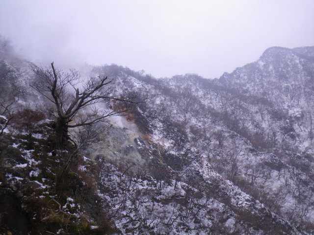 d0006512_23591548.jpg