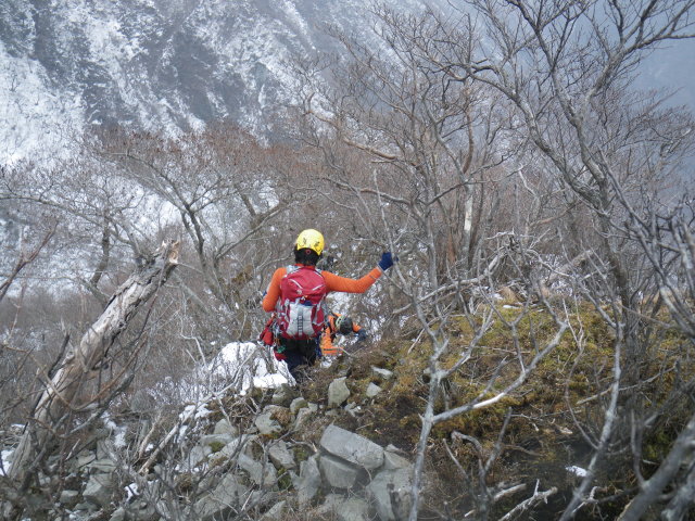 d0006512_23595333.jpg