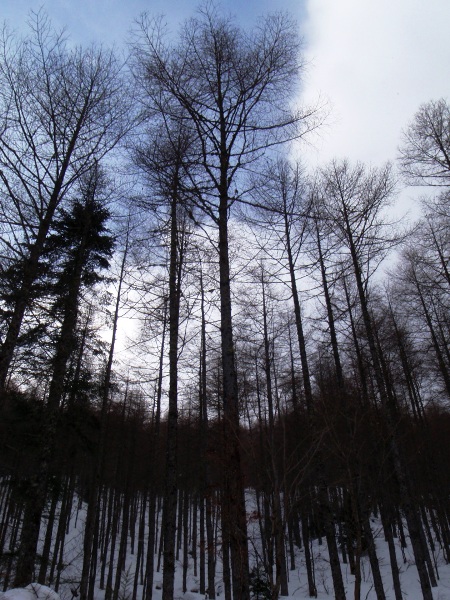 c0177814_10188.jpg