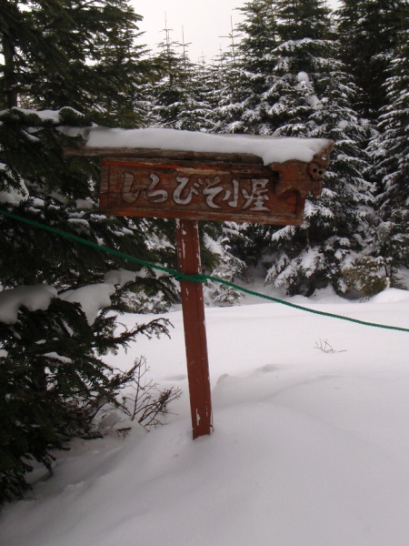 c0177814_113466.jpg