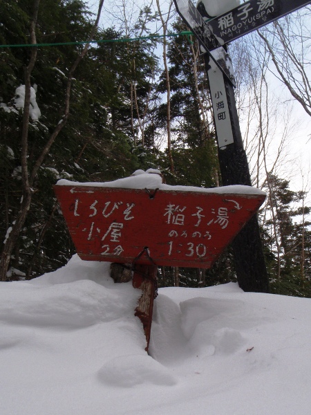 c0177814_11776.jpg