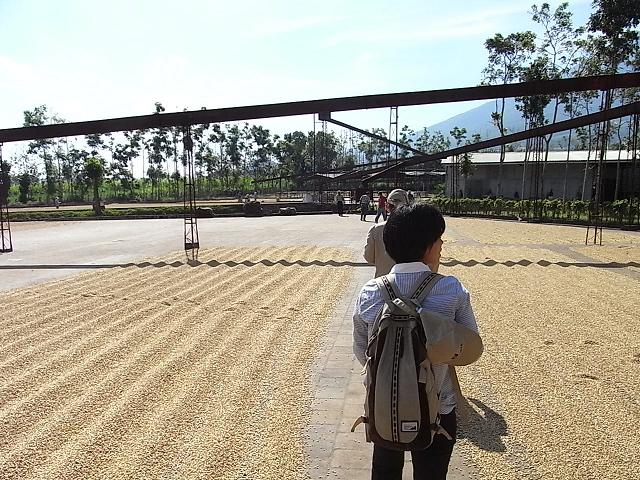 a0247515_20555215.jpg