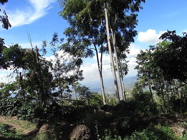 a0247515_2122515.jpg