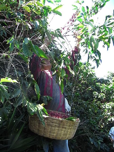 a0247515_21315150.jpg