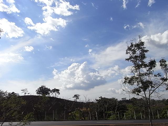 a0247515_21523116.jpg