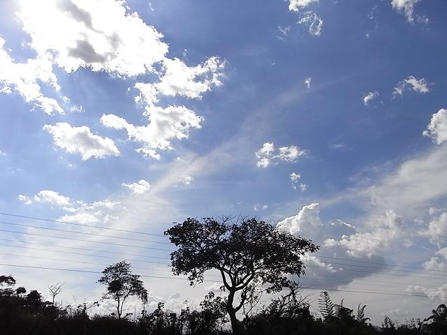 a0247515_221047.jpg
