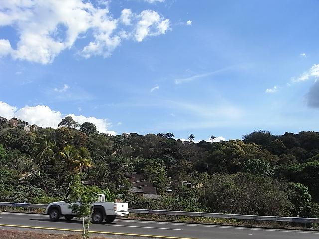 a0247515_2225541.jpg