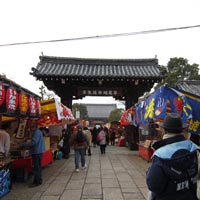 d0033734_1722573.jpg