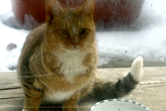 f0147037_017571.jpg