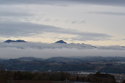 e0228938_171176.jpg