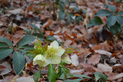 e0228938_1775161.jpg