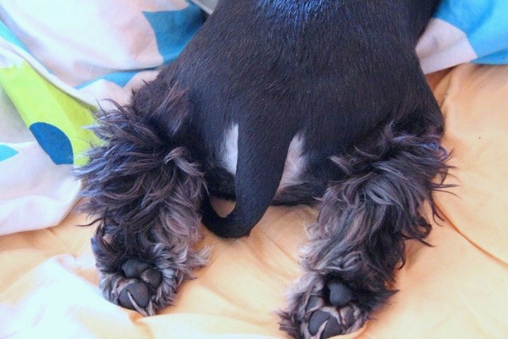 c0153740_0202549.jpg