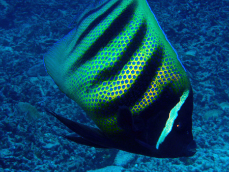 f0014842_17475676.jpg