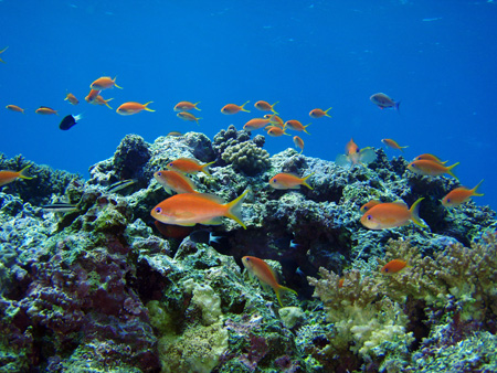 f0014842_17482441.jpg
