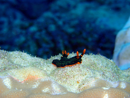 f0014842_1748941.jpg