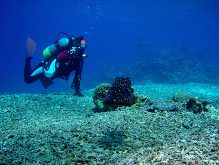 f0014842_17495799.jpg